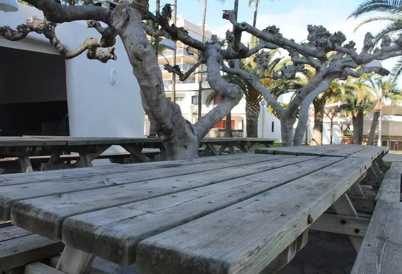 Apartamentos Tamarindos Peñiscola