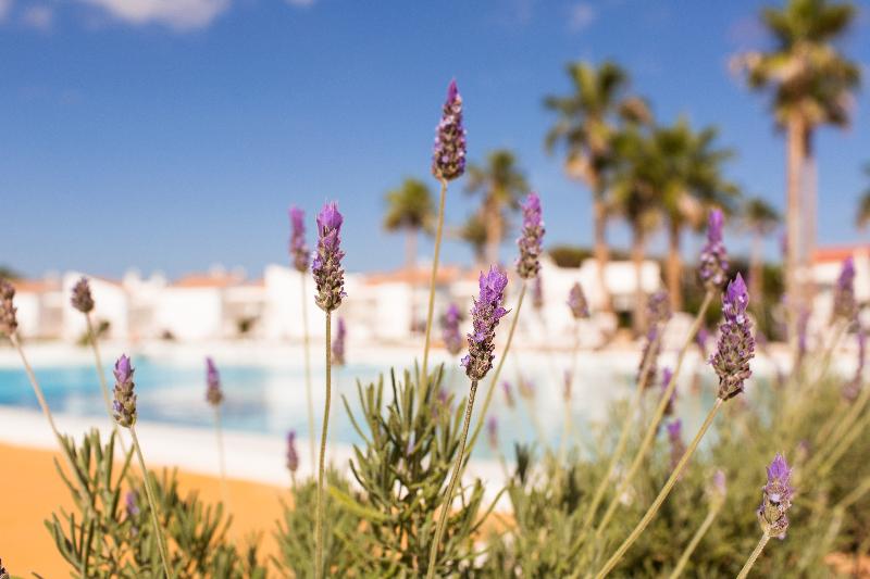 Sagitario Menorca Mar Adults Only