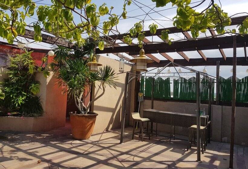 مبيت وإفطار Gap Plaza