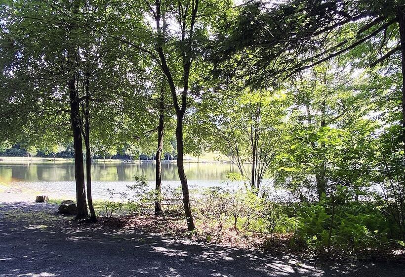 Mountain Springs Lake Resort