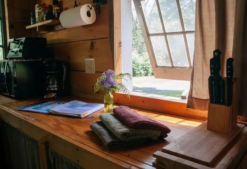 Wellnesste Lodge And Cabin Rentals