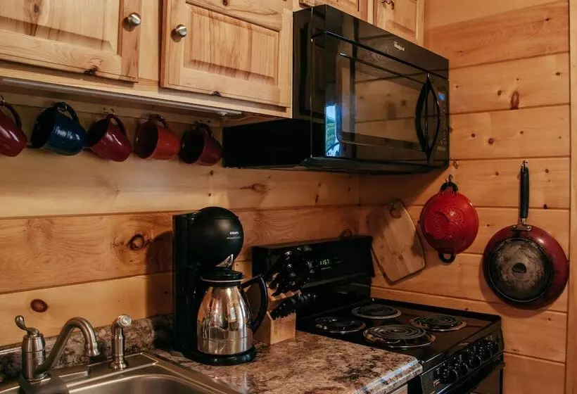 Wellnesste Lodge And Cabin Rentals