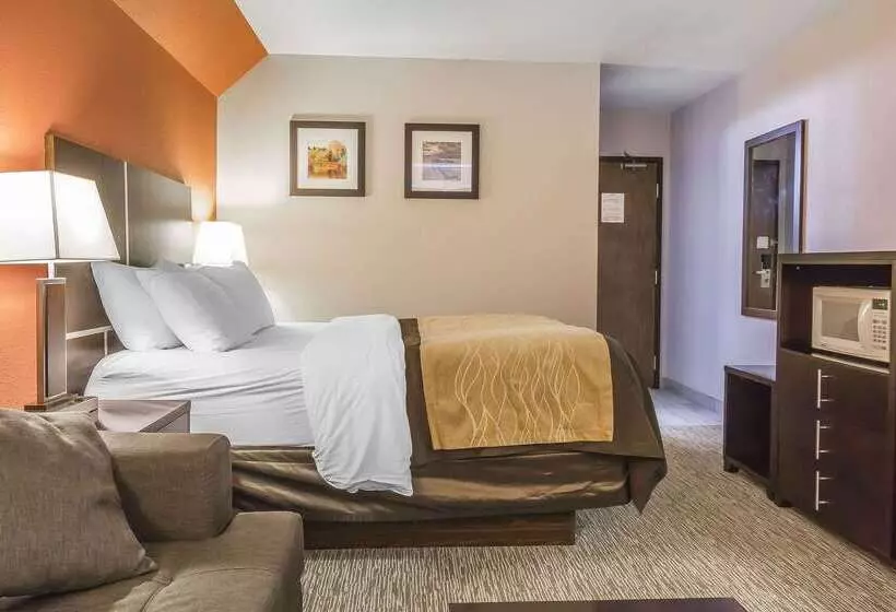 Отель Comfort Inn & Suites