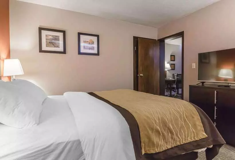 Отель Comfort Inn & Suites