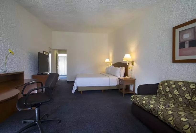 ホテル Gamma Pachuca