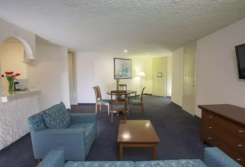 ホテル Gamma Pachuca