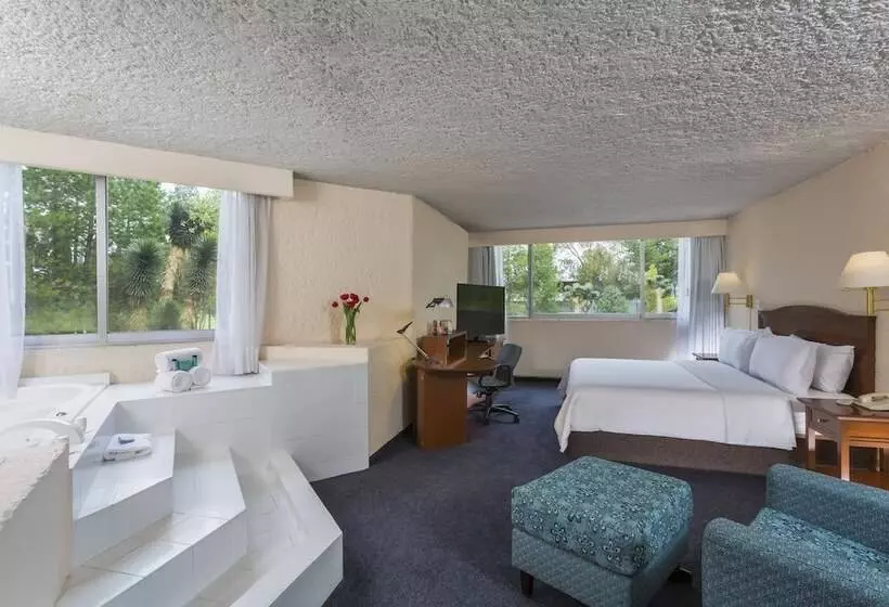 ホテル Gamma Pachuca