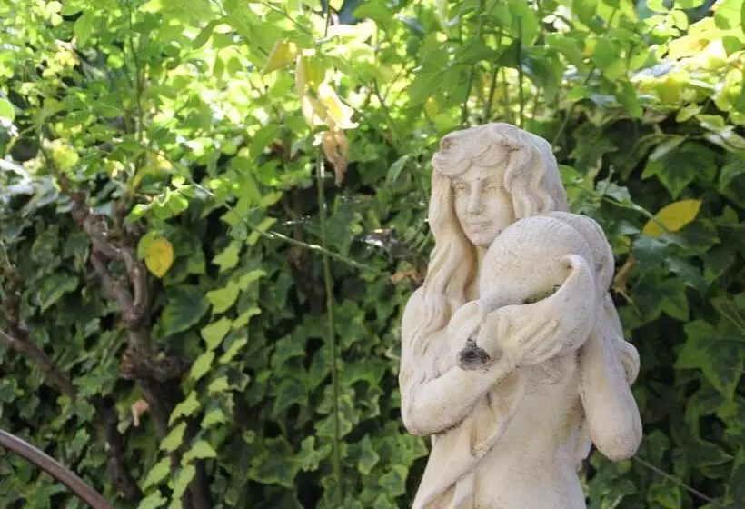 فندق Le Provençal