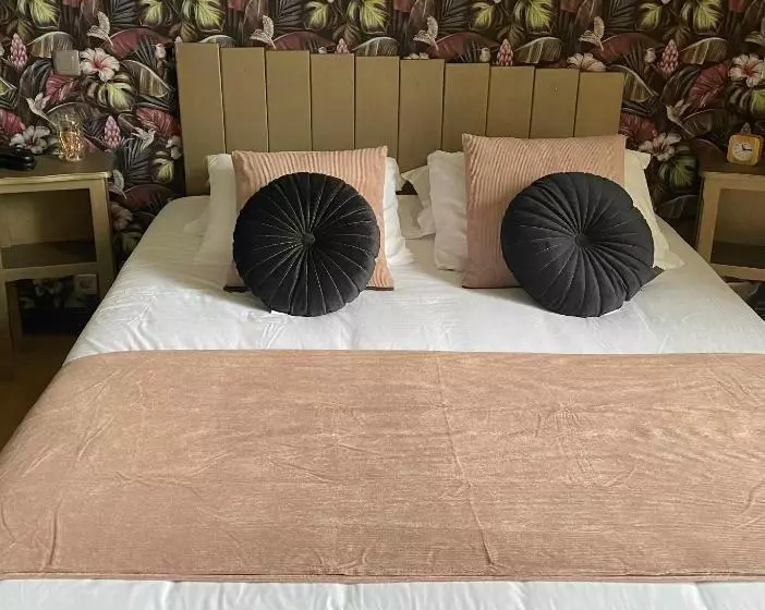 בית מלון כפרי Logis Hôtel Le Cygne