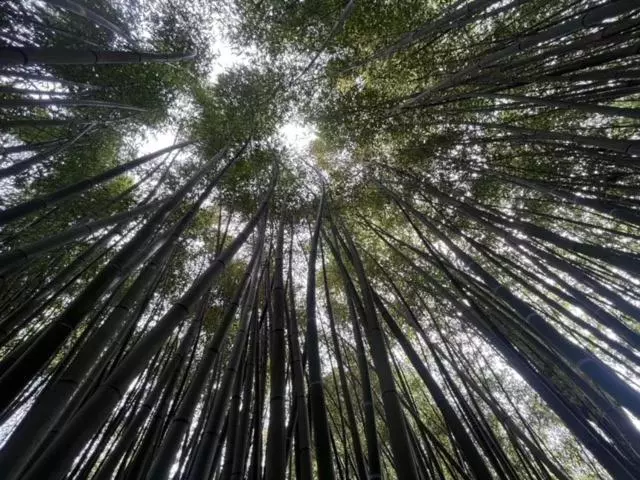 Logis Hotel Restaurant Le Domaine De La Régalière