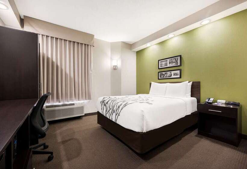 酒店 Sleep Inn Athens I65