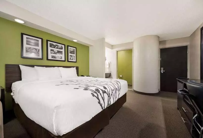 ホテル Sleep Inn Athens I65