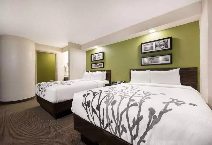 ホテル Sleep Inn Athens I65