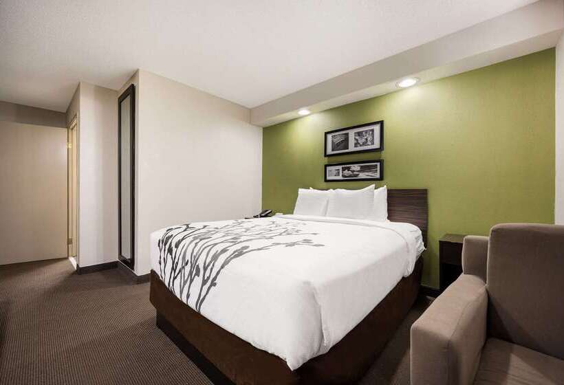 酒店 Sleep Inn Athens I65