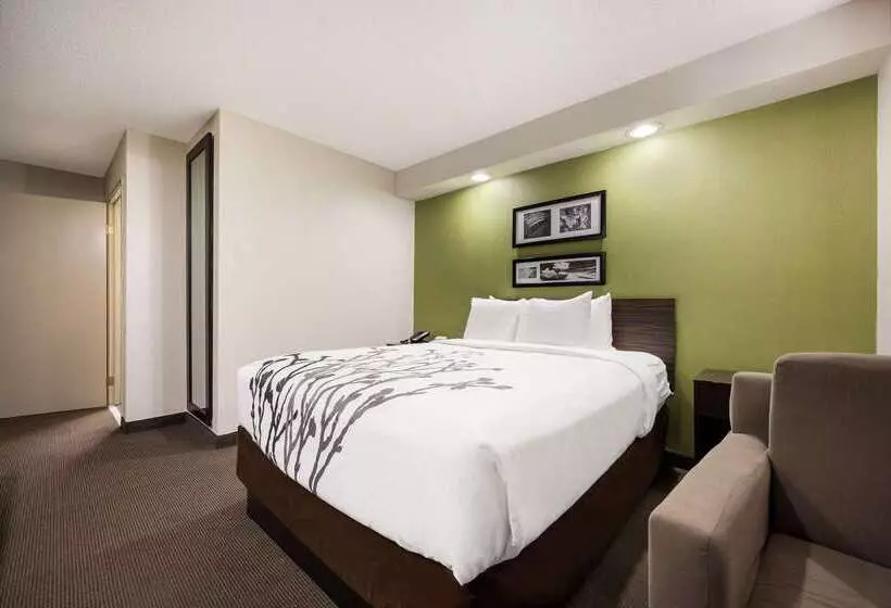 ホテル Sleep Inn Athens I65