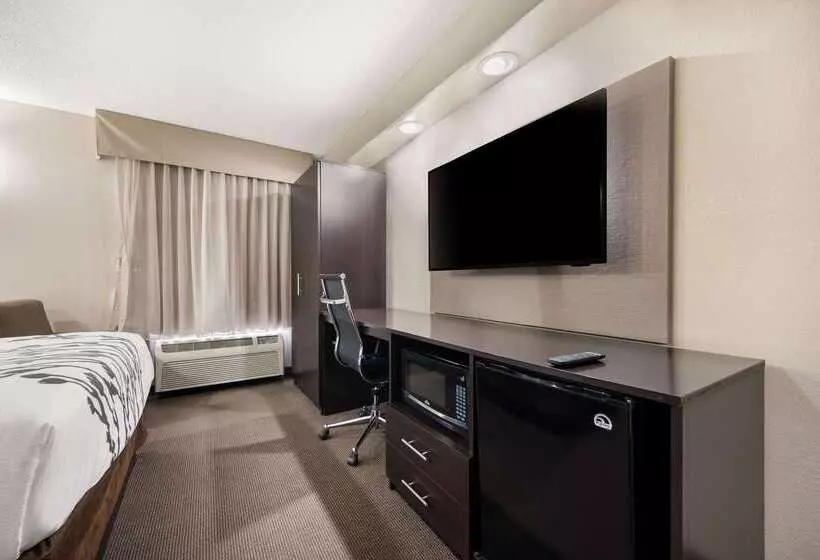 ホテル Sleep Inn Athens I65