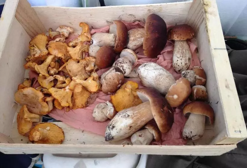 호텔 Auberge De Cucugnan