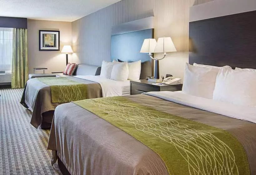 ホテル Comfort Inn Camden