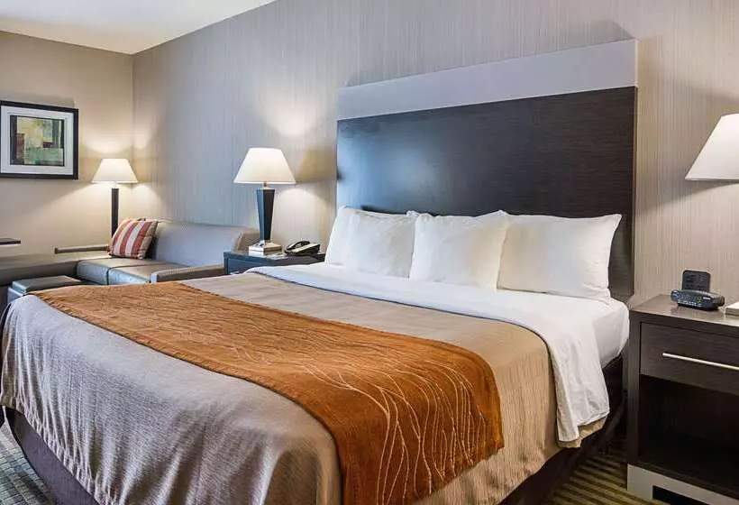 ホテル Comfort Inn Camden