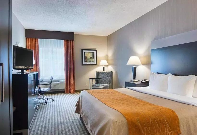 호텔 Comfort Inn Camden