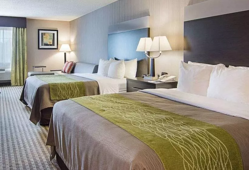 ホテル Comfort Inn Camden