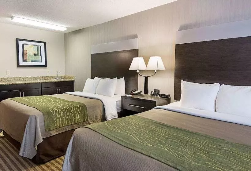 ホテル Comfort Inn Camden