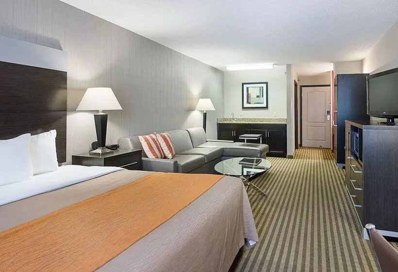 ホテル Comfort Inn Camden