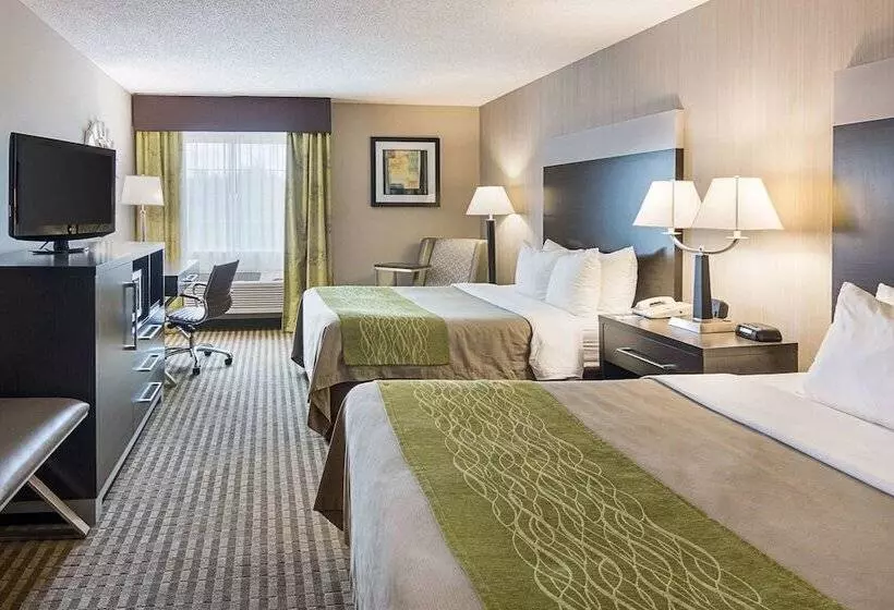 ホテル Comfort Inn Camden