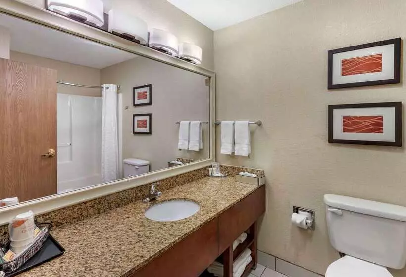 Отель Comfort Inn Denver West Arvada Station