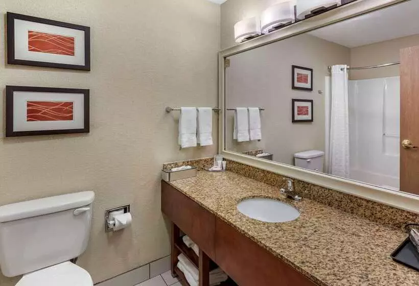 Отель Comfort Inn Denver West Arvada Station