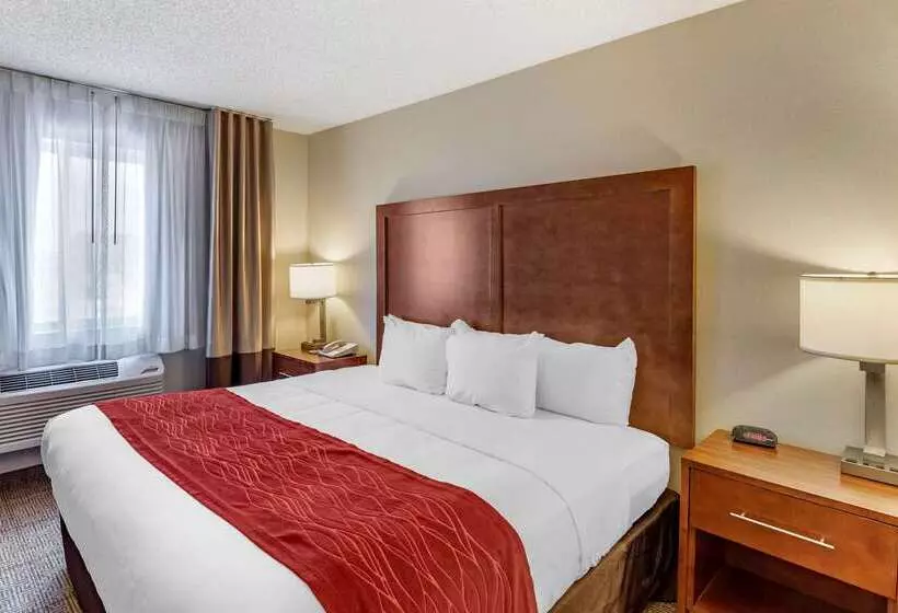 Отель Comfort Inn Denver West Arvada Station