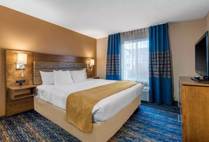 酒店 Comfort Inn South San Jose Morgan Hill