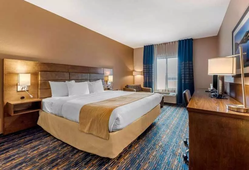 酒店 Comfort Inn South San Jose Morgan Hill