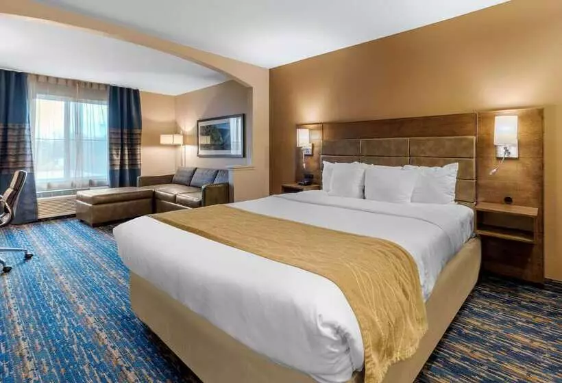 酒店 Comfort Inn South San Jose Morgan Hill
