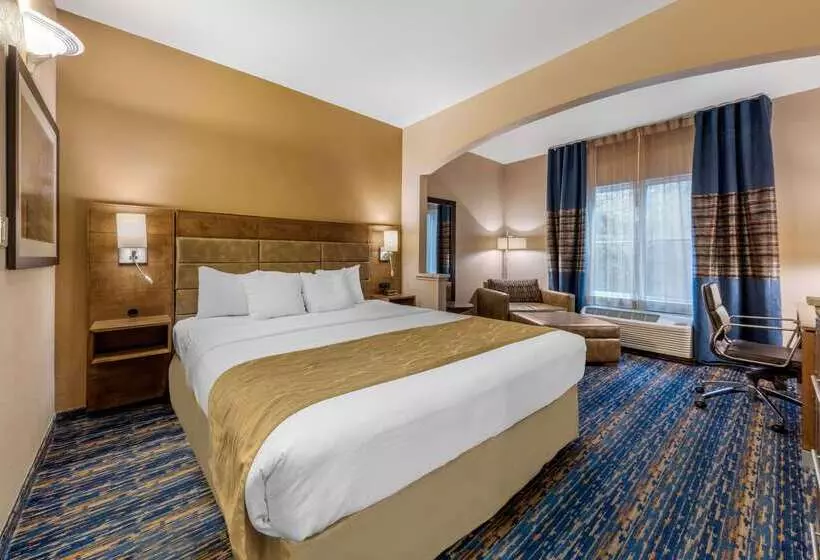 酒店 Comfort Inn South San Jose Morgan Hill