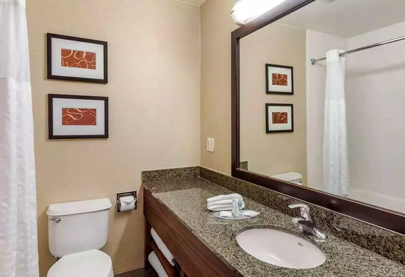 酒店 Comfort Suites Near Six Flags Magic Mountain