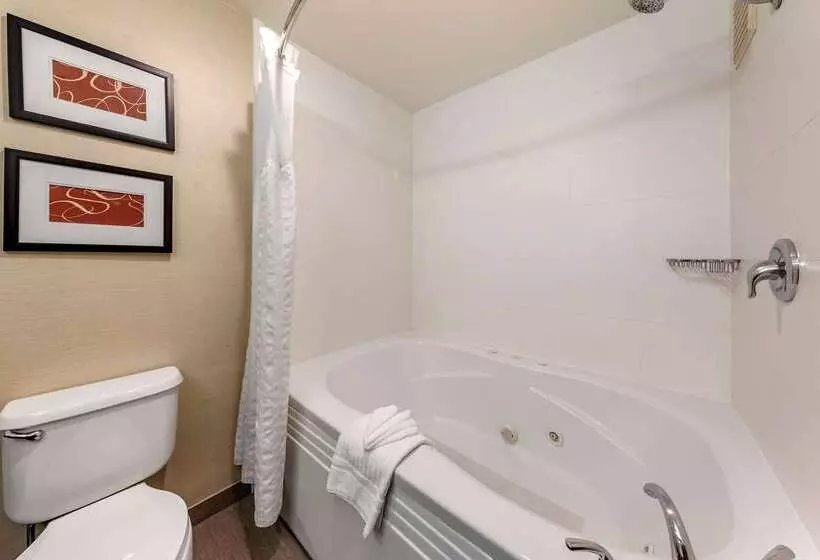 酒店 Comfort Suites Near Six Flags Magic Mountain