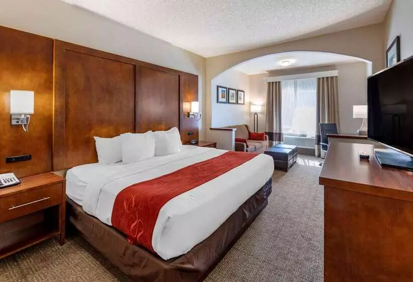 酒店 Comfort Suites Near Six Flags Magic Mountain
