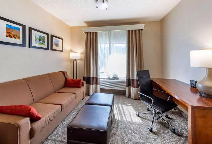 酒店 Comfort Suites Near Six Flags Magic Mountain