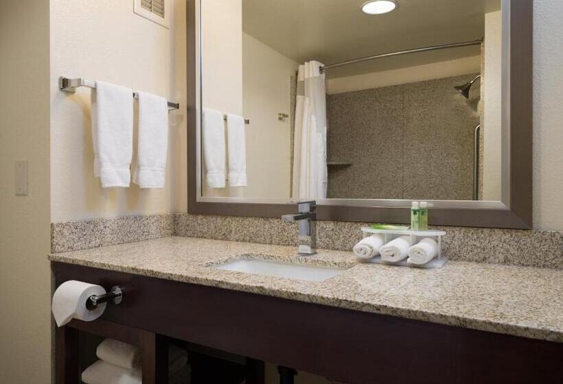 هتل Holiday Inn Express Rocklin Galleria Area, An Ihg