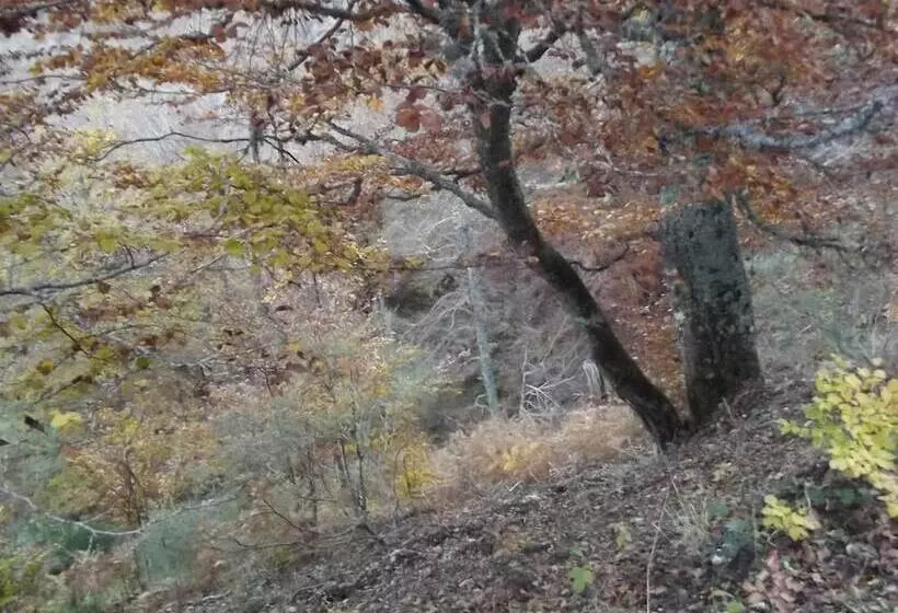 호텔 Montaña Palentina