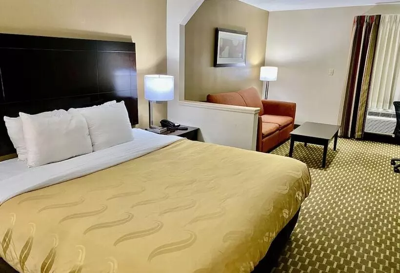 ホテル Quality Inn & Suites Pine Bluff