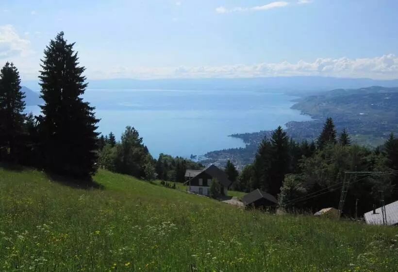 ホテル Aux Touristes Hôtel Restaurant