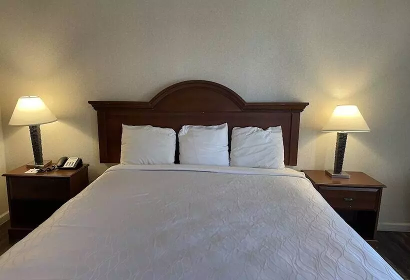 ホテル Sutter Inn