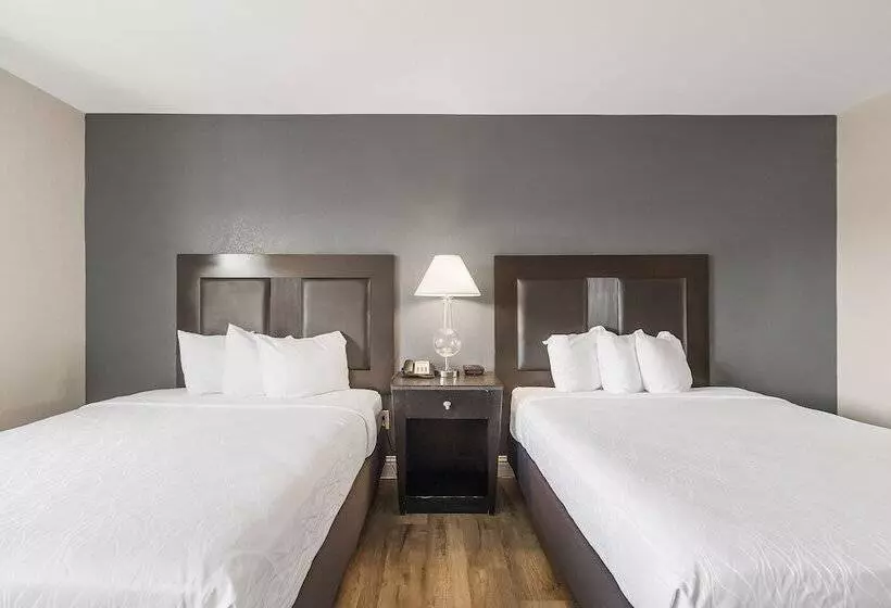 ホテル Sutter Inn