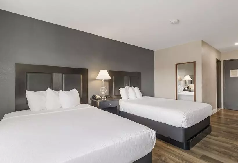 ホテル Sutter Inn