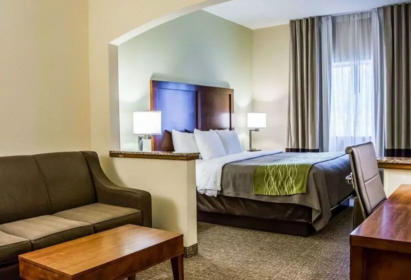 هتل Comfort Inn Fort Myers Northeast