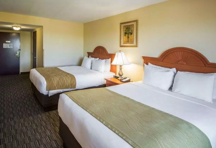 酒店 Comfort Inn & Suites Jupiter I95