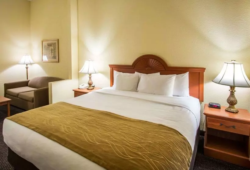 酒店 Comfort Inn & Suites Jupiter I95