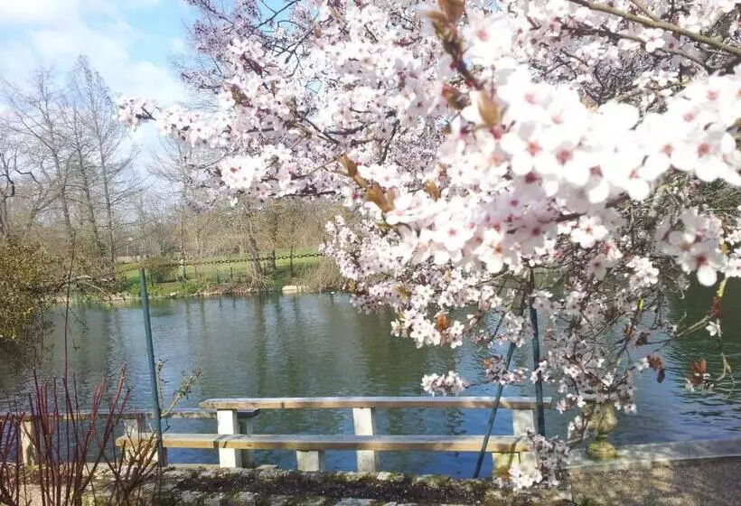 酒店 Hôtel Restaurant Beau Rivage